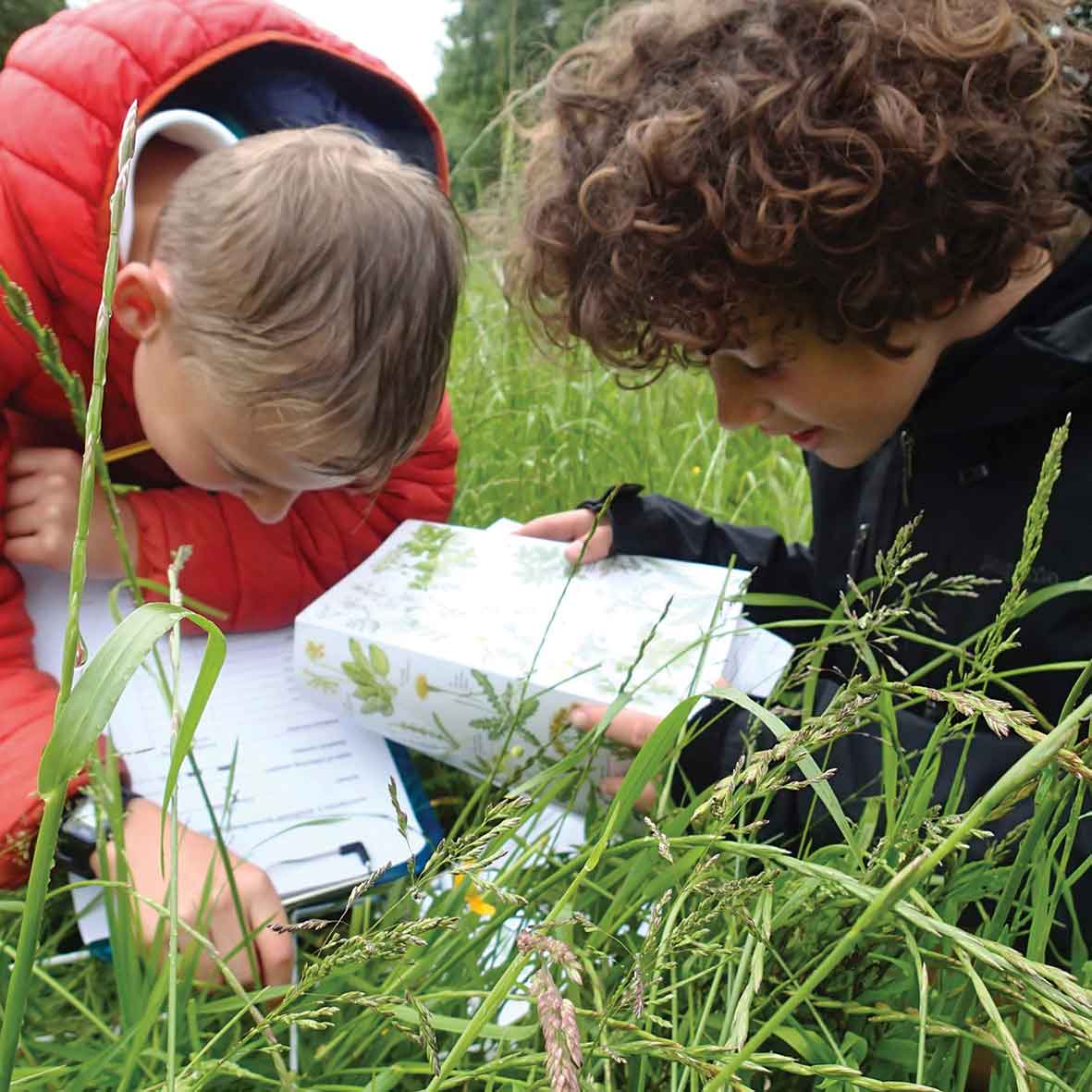 BioBlitz 