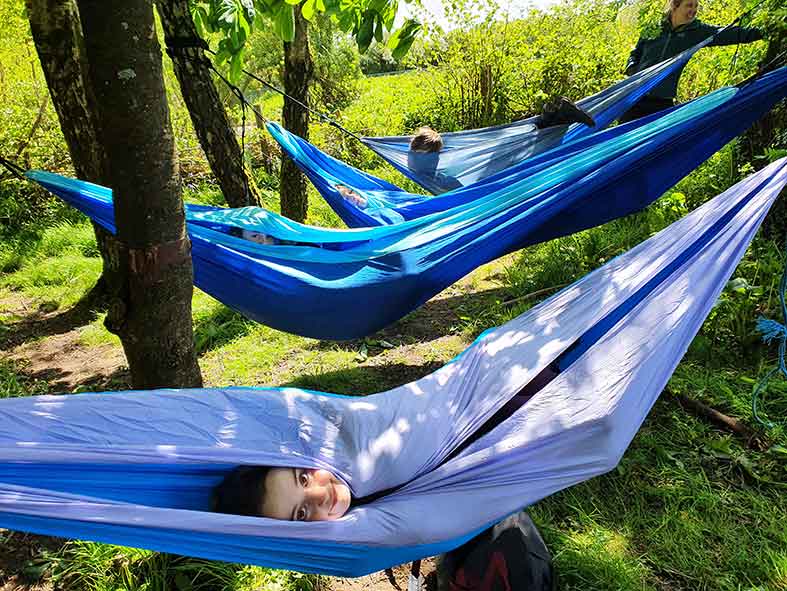 Woodland hammocks