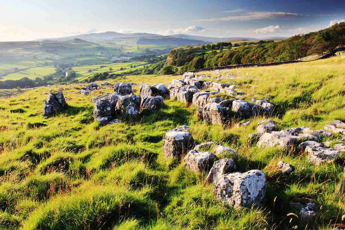 Langcliffe Brow by Mark Butler 