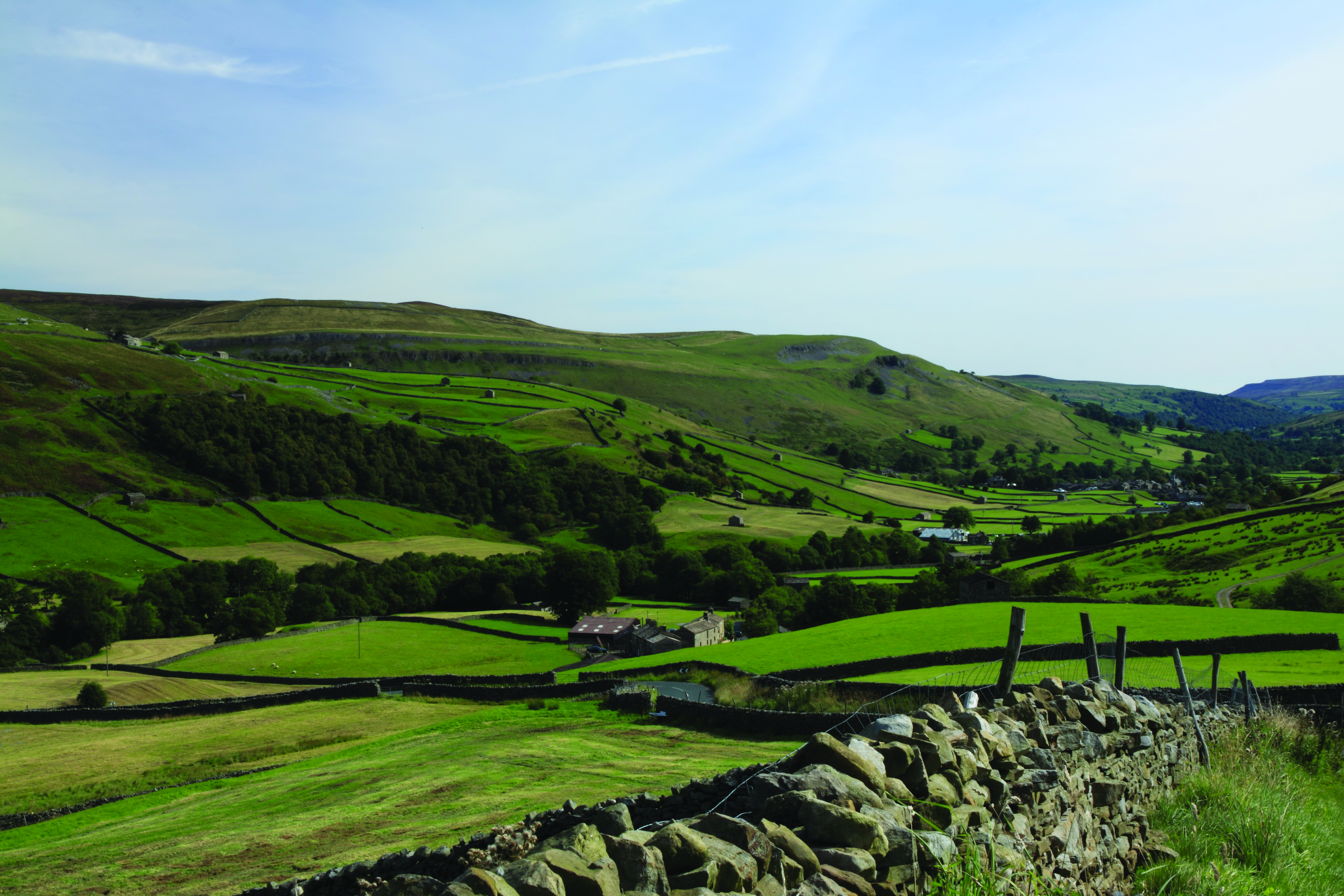 Meadows - Northern Dales