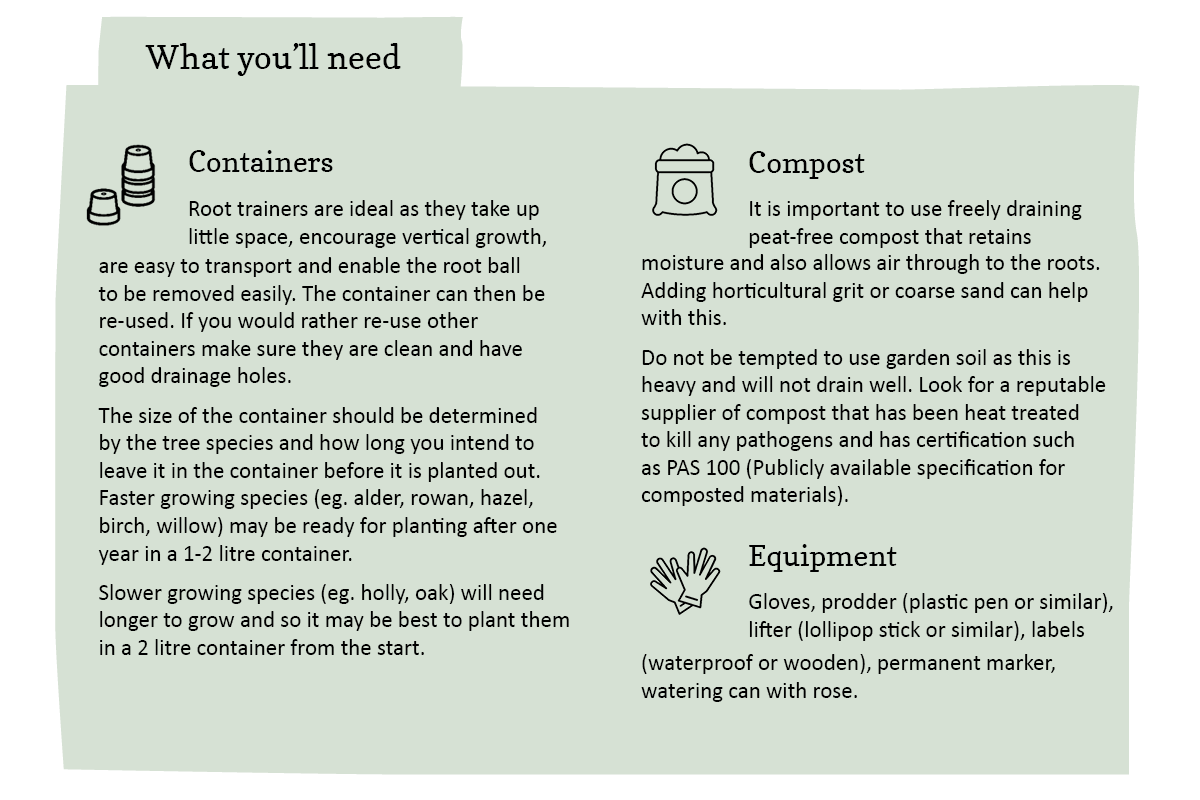 Equipment needed to grow a tree from seed