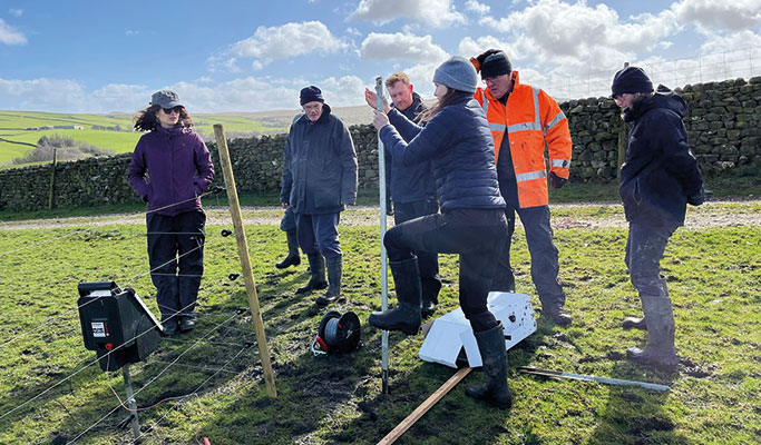 RSPB curlew nest protection day