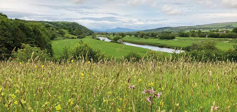 Hermitage Field meadows Crook O'Lune 