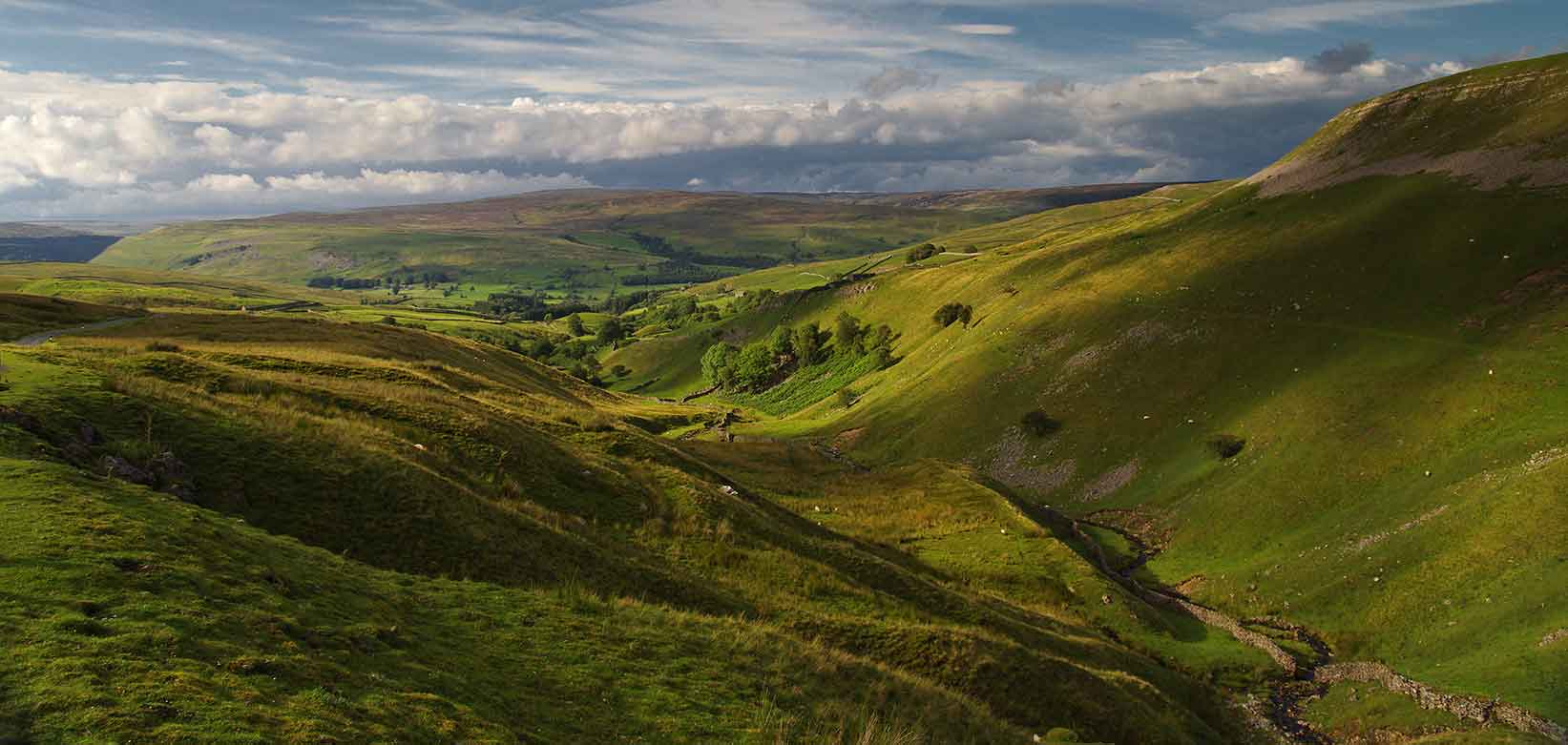 Oxnop Ghyll Swaledale by Remco Rog