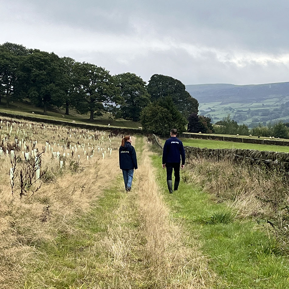 Beamsley Wood footpath 