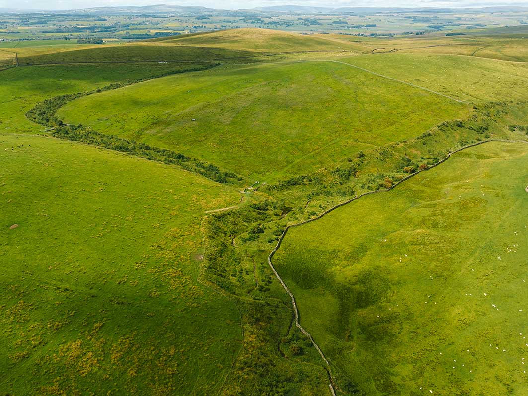 Aerial view of Ormsgill Wood in 2023