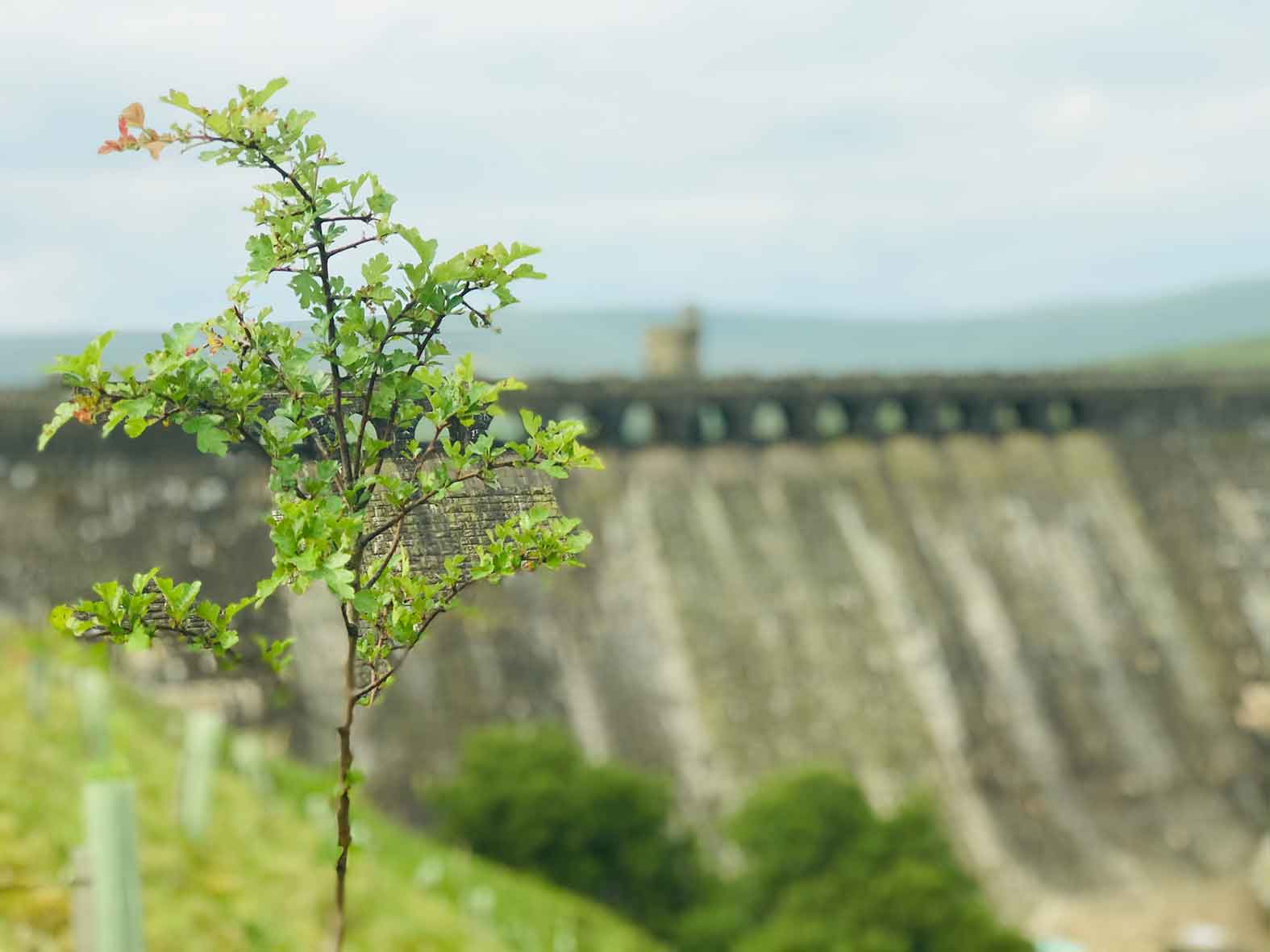 Woodale Wood Scar House Reservoir