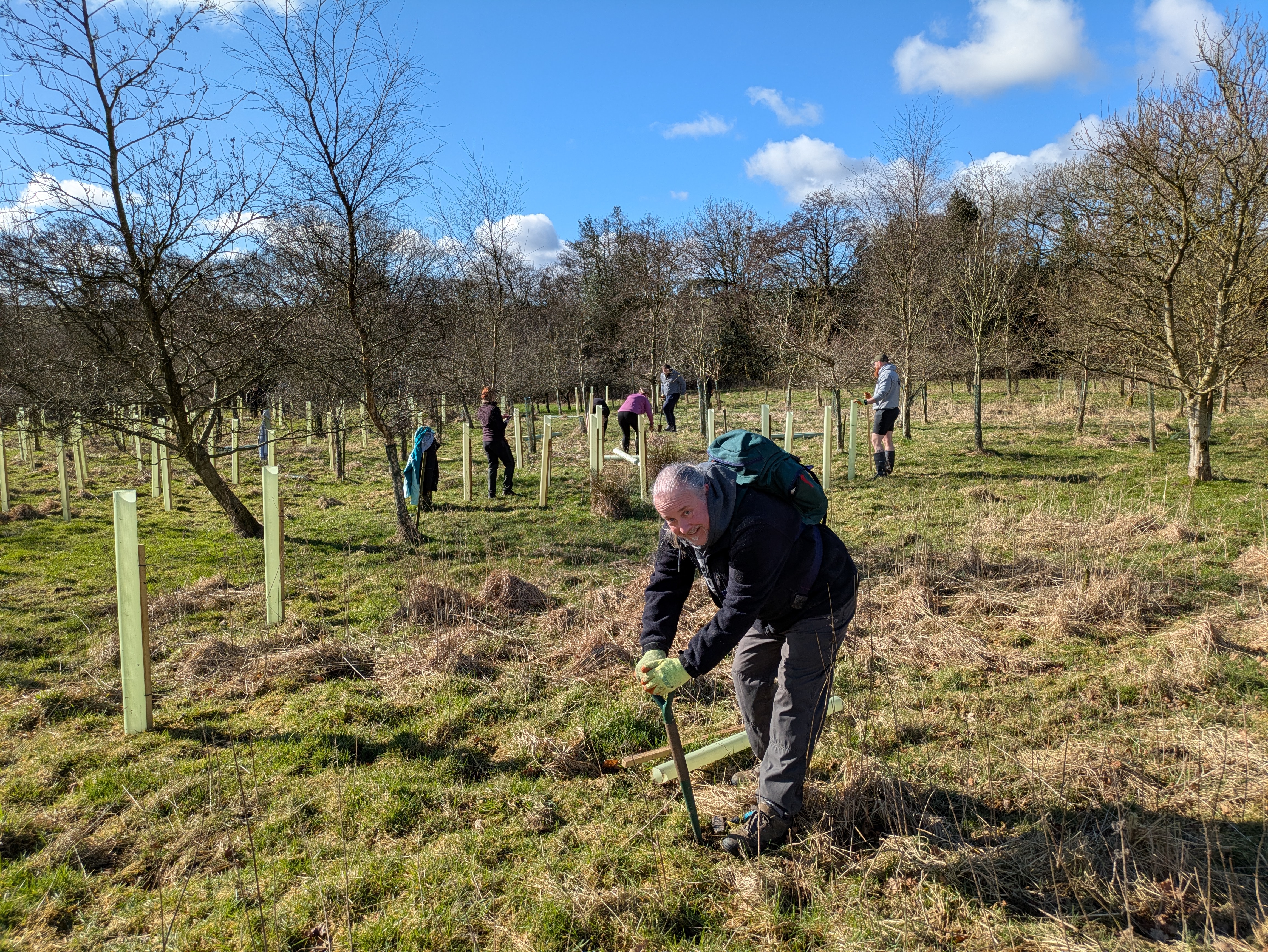 Volunteer tree planting