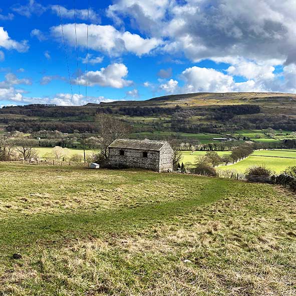 Aysgarth countryside Yorkshire Dales
