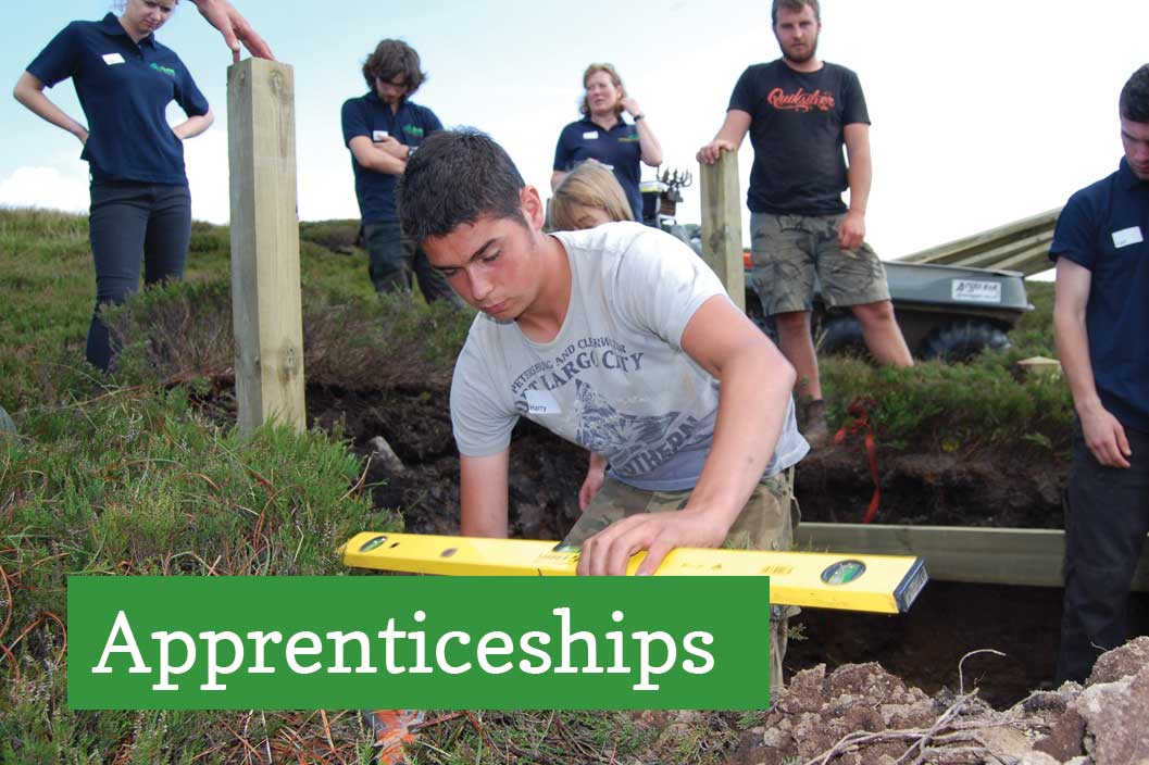 Apprenticeships