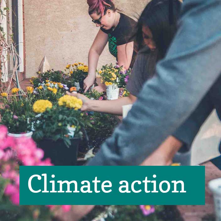 Dales Climate Champions