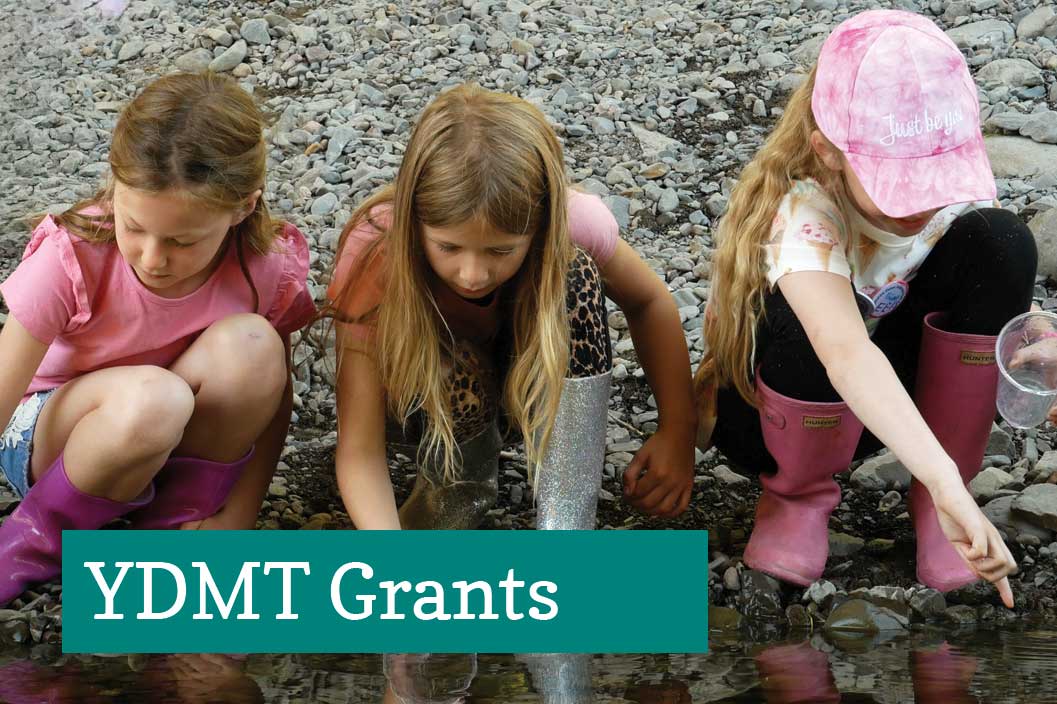 YDMT Grants 