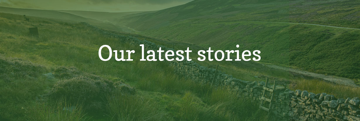 Our latest stories