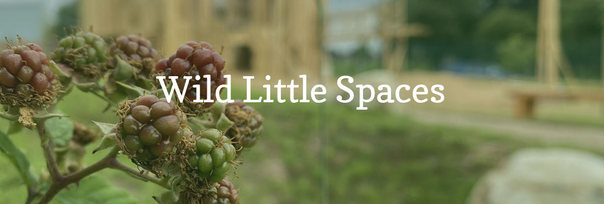 Wild Little Spaces