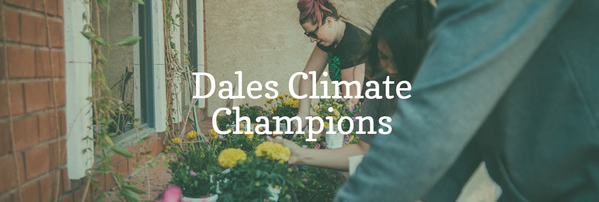 Dales Climate Champions