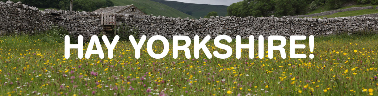Hay Yorkshire