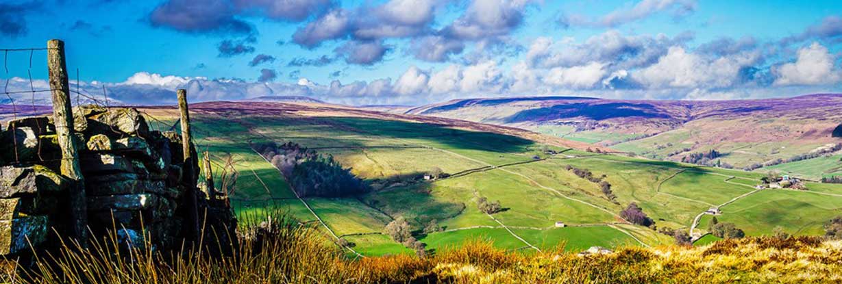 Nidderdale by David Oddy