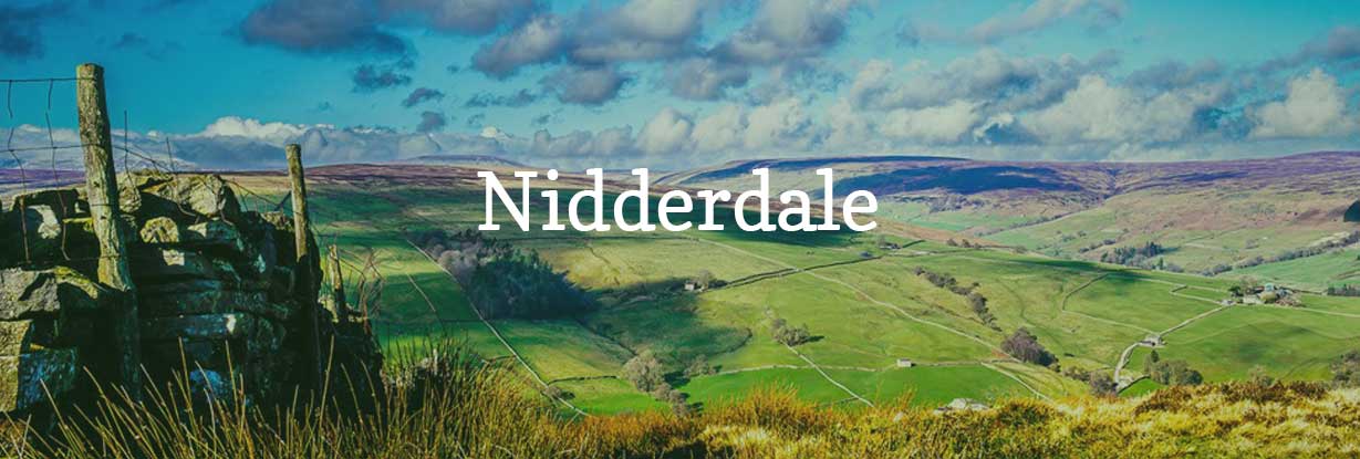 Upper Nidderdale by David Oddy  