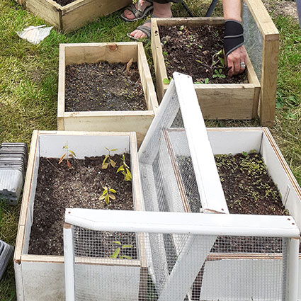 Seed germination tray