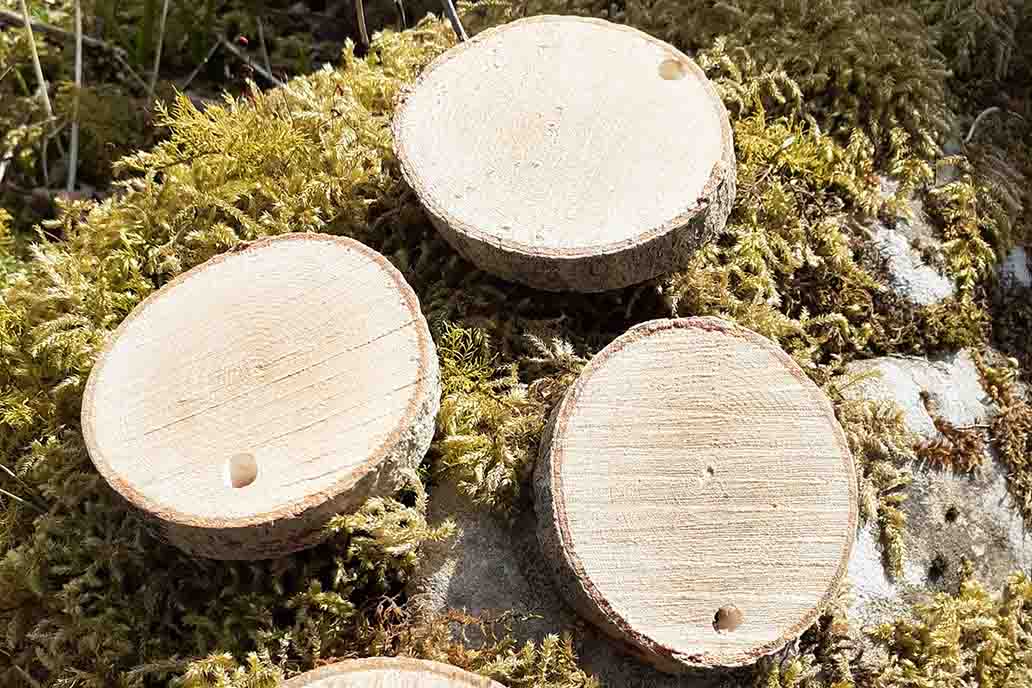 Wooden cookies