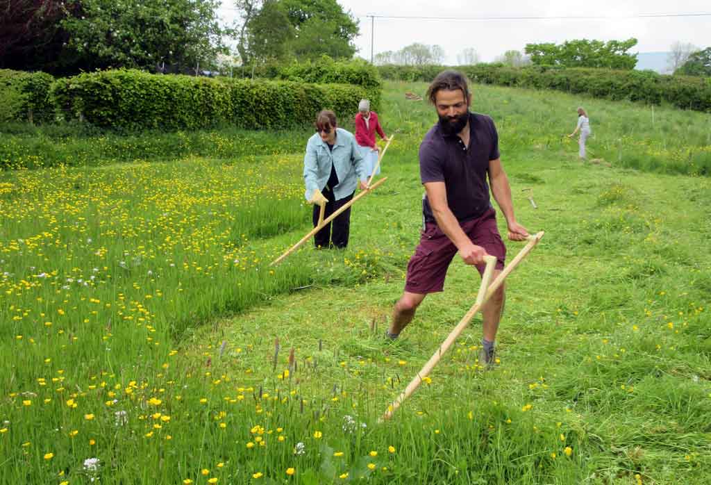 Introduction to Scything course | YDMT