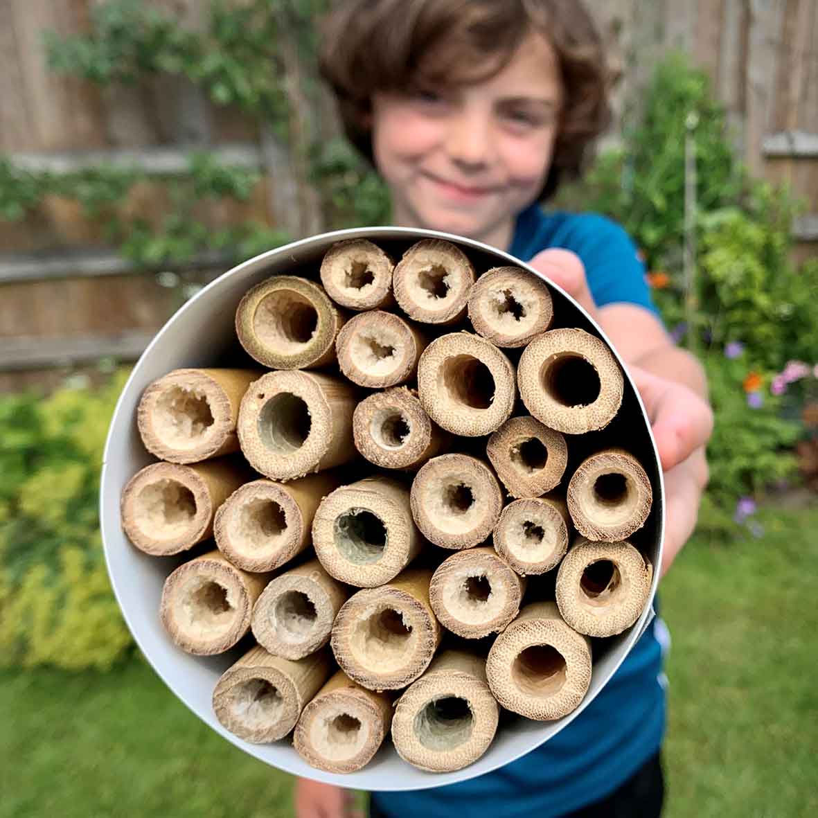 Bee house 