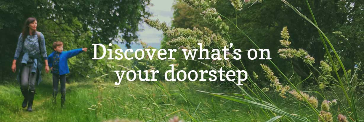 Discoveries on your doorstep