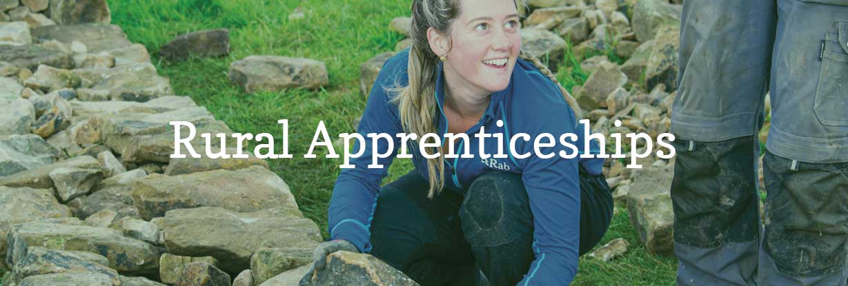 Rural apprenticeships