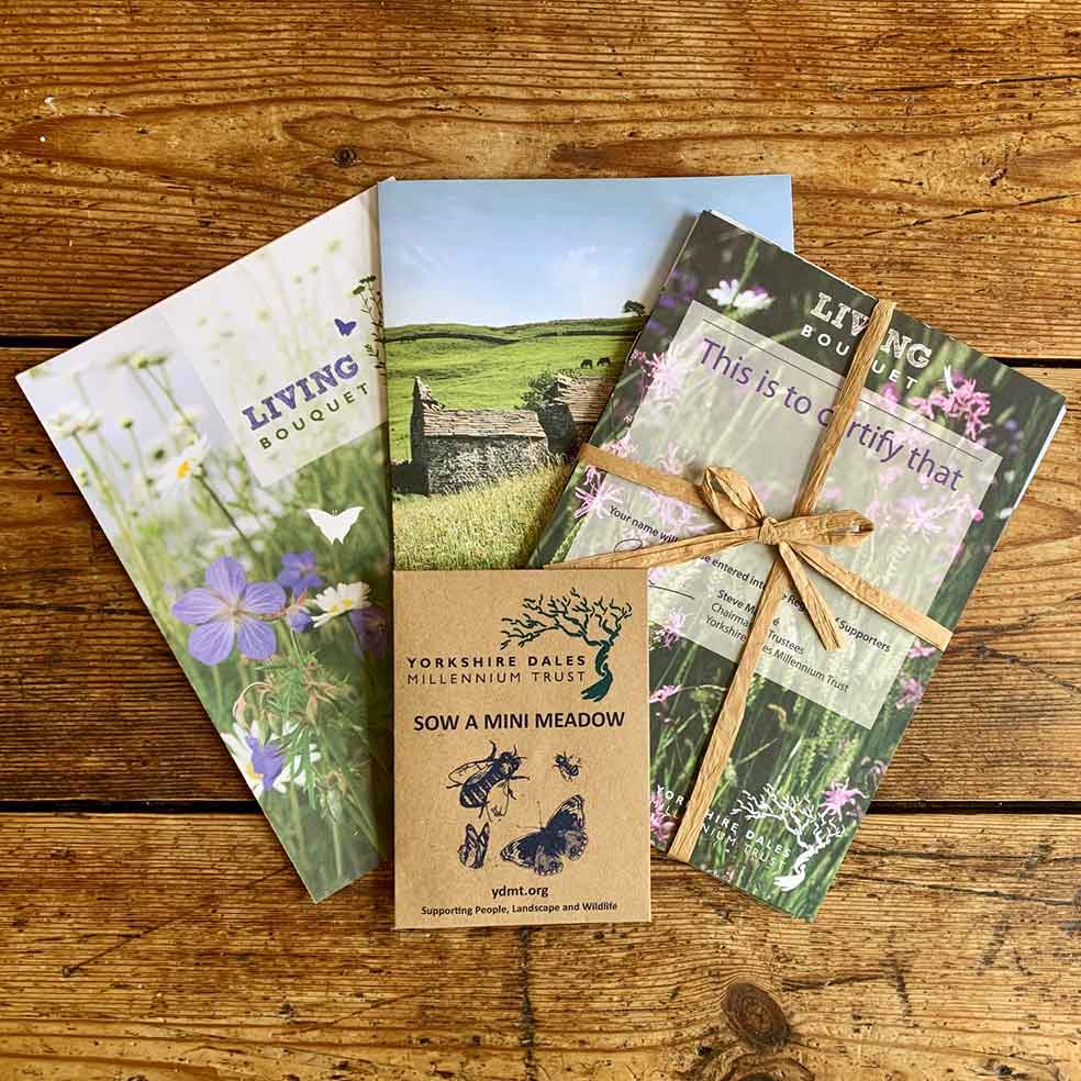 Living bouquet wildflower gift 