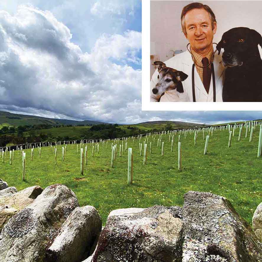 James Herriot Woodland walk Swaledale 